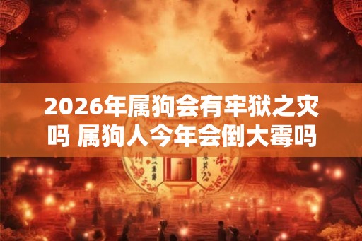 2026年属狗会有牢狱之灾吗 属狗人今年会倒大霉吗