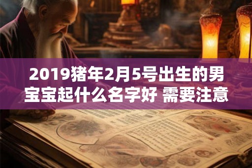 2019猪年2月5号出生的男宝宝起什么名字好 需要注意什么
