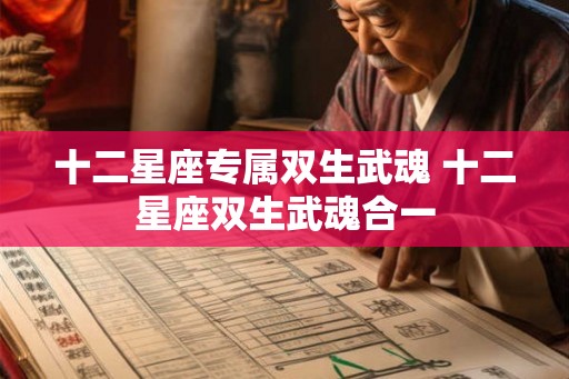 十二星座专属双生武魂 十二星座双生武魂合一
