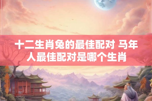 十二生肖兔的最佳配对 马年人最佳配对是哪个生肖
