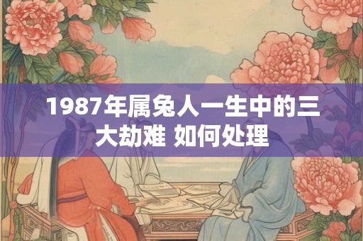 1987年属兔人一生中的三大劫难 如何处理
