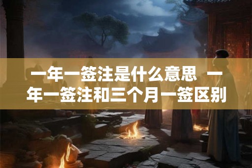一年一签注是什么意思  一年一签注和三个月一签区别