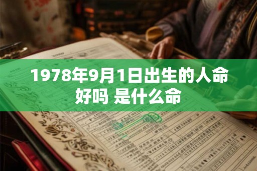 1978年9月1日出生的人命好吗 是什么命