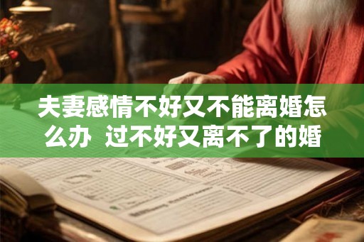 夫妻感情不好又不能离婚怎么办  过不好又离不了的婚姻该怎么办