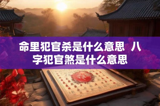 命里犯官杀是什么意思  八字犯官煞是什么意思