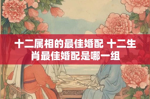 十二属相的最佳婚配 十二生肖最佳婚配是哪一组 十二属相的最佳婚配 十二生肖最佳婚配是哪一组
