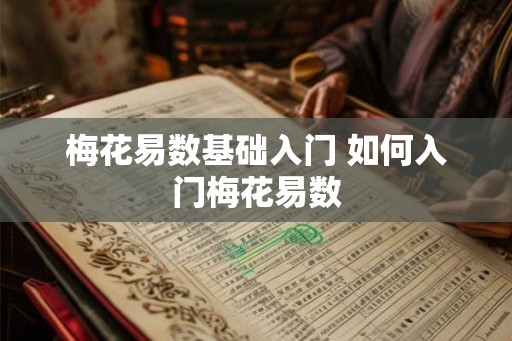 梅花易数基础入门 如何入门梅花易数