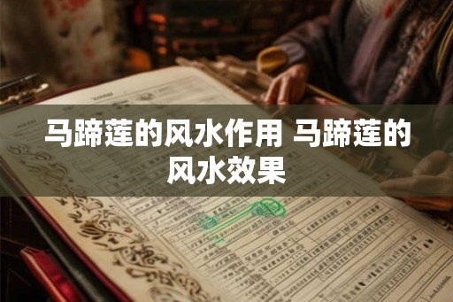 马蹄莲的风水作用 马蹄莲的风水效果