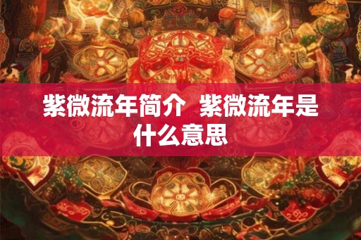 紫微流年简介  紫微流年是什么意思