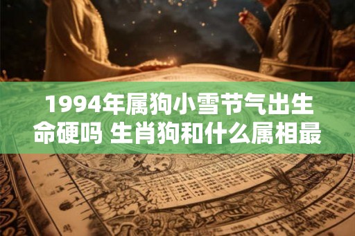 1994年属狗小雪节气出生命硬吗 生肖狗和什么属相最配 1994年属狗小雪节气出生命硬吗 生肖狗和什么属相最配