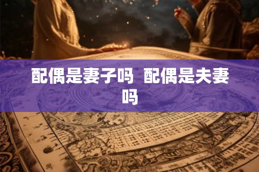 配偶是妻子吗  配偶是夫妻吗