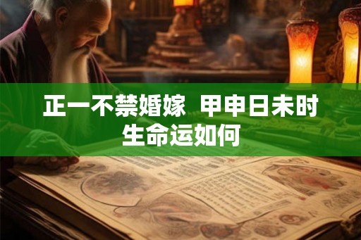 正一不禁婚嫁  甲申日未时生命运如何