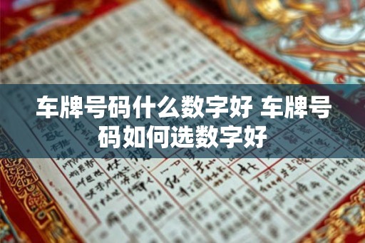 车牌号码什么数字好 车牌号码如何选数字好