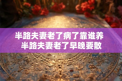 半路夫妻老了病了靠谁养  半路夫妻老了早晚要散