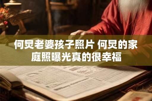何炅老婆孩子照片 何炅的家庭照曝光真的很幸福