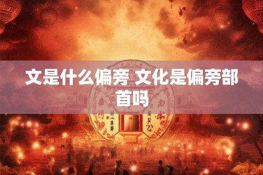 文是什么偏旁 文化是偏旁部首吗