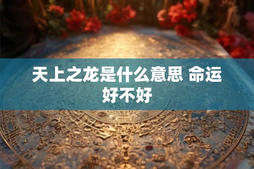 天上之龙是什么意思 命运好不好
