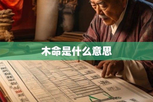 木命是什么意思