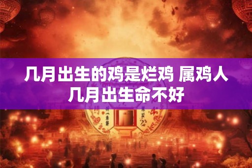 几月出生的鸡是烂鸡 属鸡人几月出生命不好