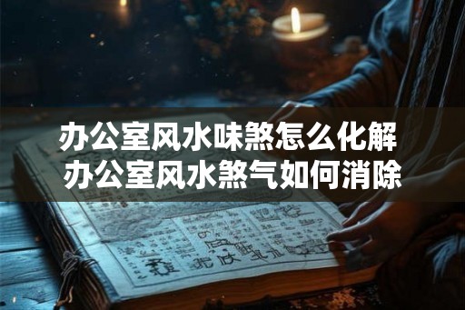 办公室风水味煞怎么化解 办公室风水煞气如何消除