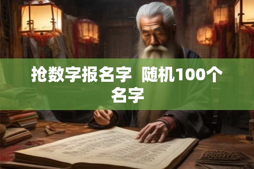 抢数字报名字  随机100个名字