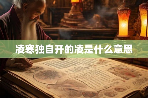 凌寒独自开的凌是什么意思