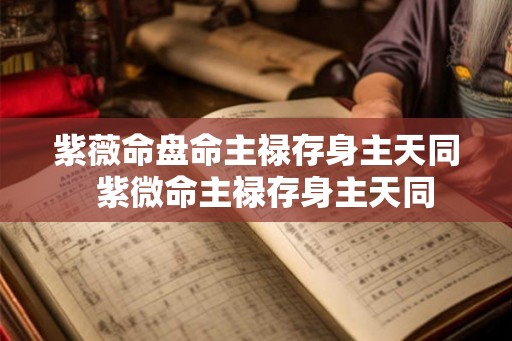 紫薇命盘命主禄存身主天同  紫微命主禄存身主天同