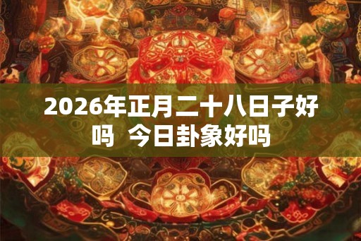 2026年正月二十八日子好吗  今日卦象好吗
