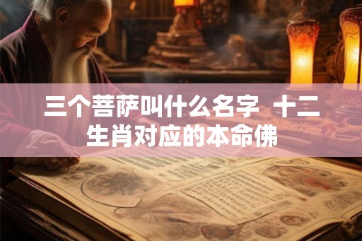 三个菩萨叫什么名字  十二生肖对应的本命佛