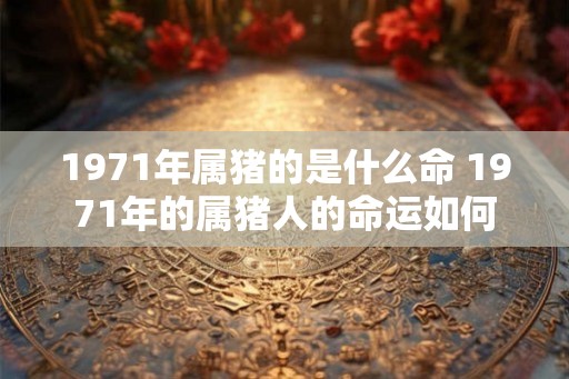 1971年属猪的是什么命 1971年的属猪人的命运如何