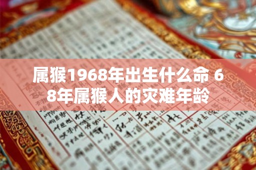 属猴1968年出生什么命 68年属猴人的灾难年龄