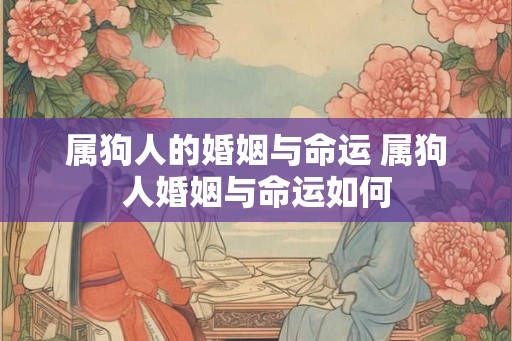 属狗人的婚姻与命运 属狗人婚姻与命运如何 属狗人的婚姻与命运 属狗人婚姻与命运如何