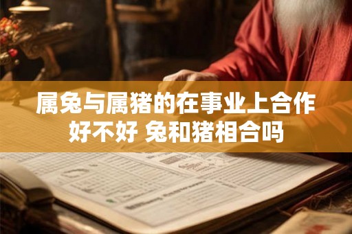 属兔与属猪的在事业上合作好不好 兔和猪相合吗
