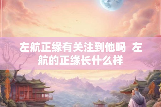 左航正缘有关注到他吗  左航的正缘长什么样
