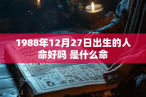 1988年12月27日出生的人命好吗 是什么命