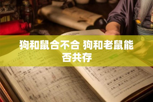 狗和鼠合不合 狗和老鼠能否共存