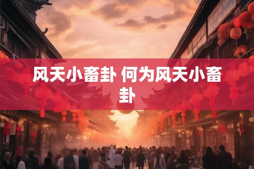 风天小畜卦 何为风天小畜卦
