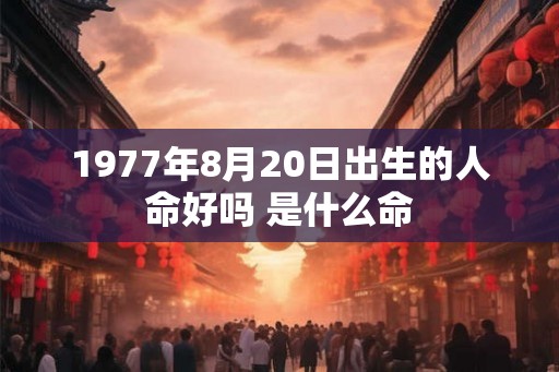 1977年8月20日出生的人命好吗 是什么命