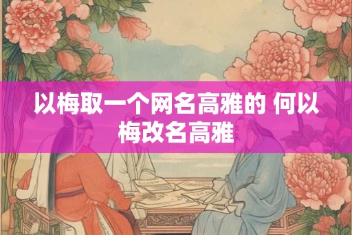 以梅取一个网名高雅的 何以梅改名高雅