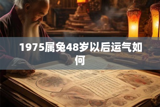 1975属兔48岁以后运气如何