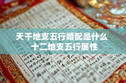 天干地支五行婚配是什么  十二地支五行属性