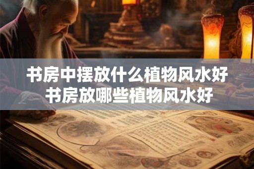 书房中摆放什么植物风水好 书房放哪些植物风水好