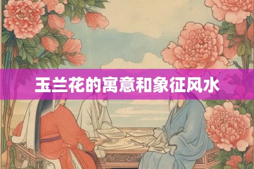 玉兰花的寓意和象征风水