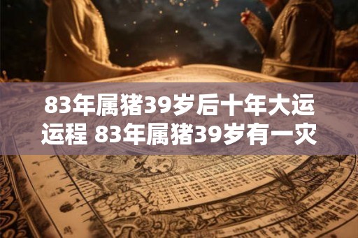 83年属猪39岁后十年大运运程 83年属猪39岁有一灾 83年属猪39岁后十年大运运程 83年属猪39岁有一灾