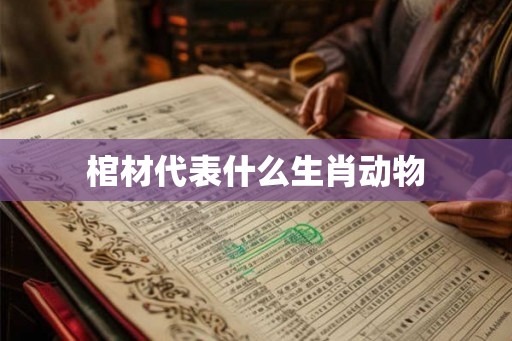 棺材代表什么生肖动物