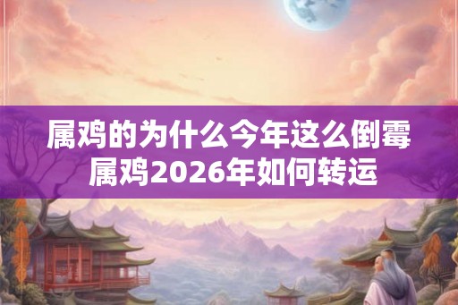 属鸡的为什么今年这么倒霉 属鸡2026年如何转运