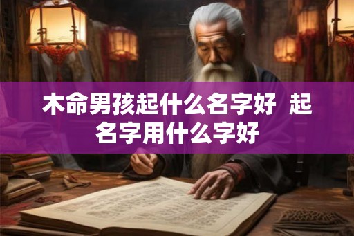 木命男孩起什么名字好  起名字用什么字好