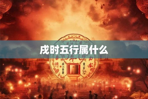 戌时五行属什么