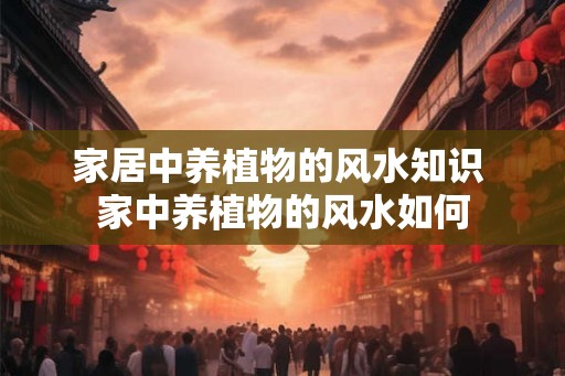 家居中养植物的风水知识 家中养植物的风水如何
