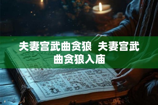 夫妻宫武曲贪狼  夫妻宫武曲贪狼入庙